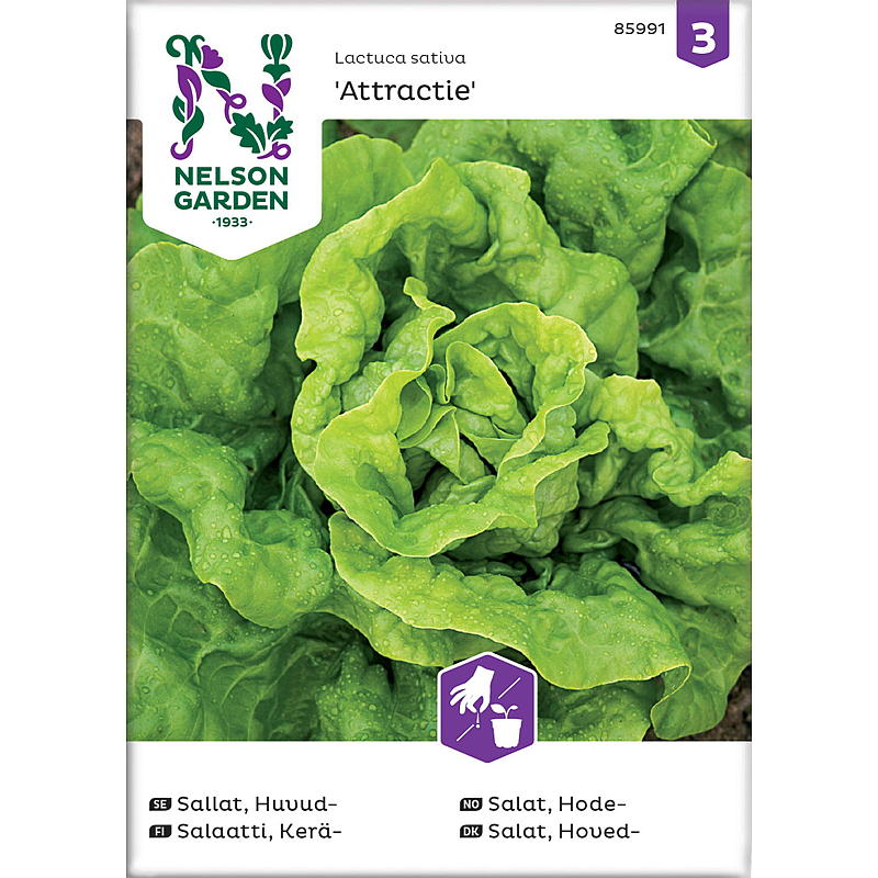 Nelson Garden Seeds Salaatin pää-, Attractie
