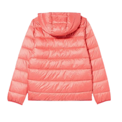 Chaqueta Champion Acolchada. 306197 Ps171