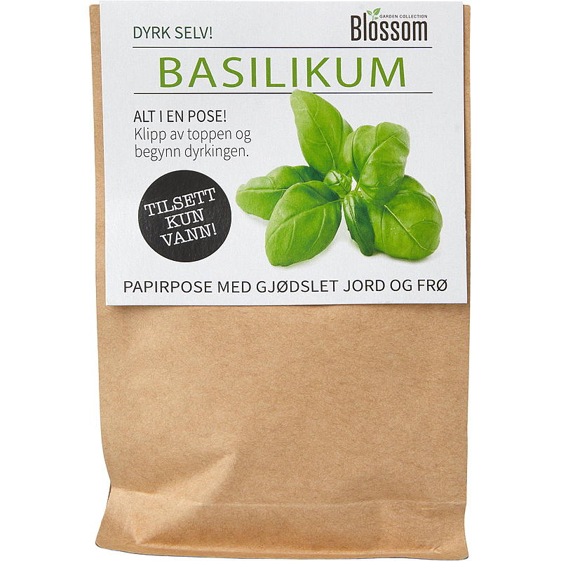 Bolsa de semillas de albahaca para flores, flor