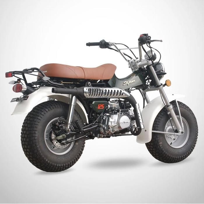 Mini Moto T-REX 125 SKYTEAM / Vert
