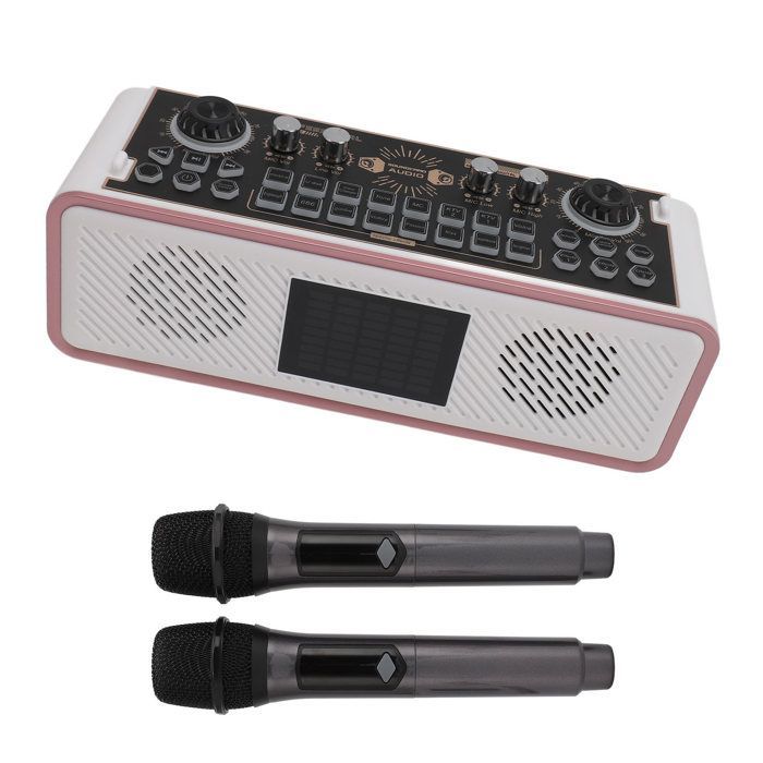 Kit scheda audio SALALIS per microfono podcast, kit scheda audio karaoke, ricarica Type-C, altoparlante per computer