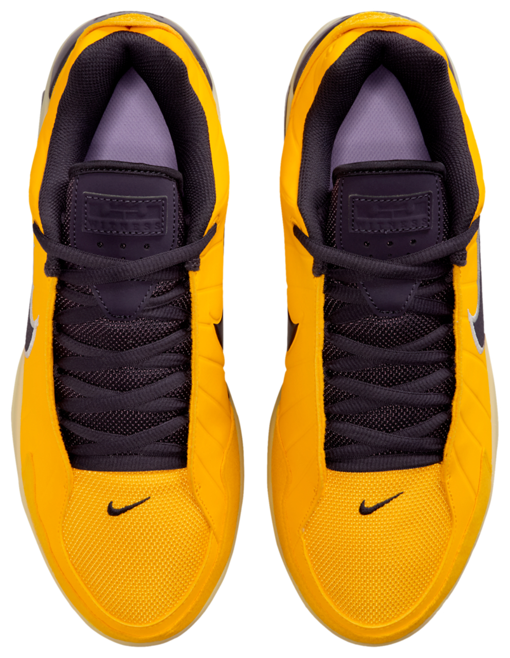 Nike Lebron Witness 9
