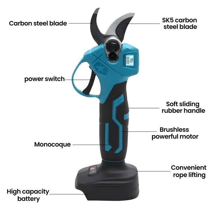 Tronçonneuse Elagueuse électrique sur perche 8 pouce ，Moteur sans balais de 1000 W, mât de 2 mètres - 2 batteries de 21 V