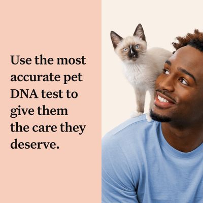 Wisdom Panel™ Πλήρες τεστ DNA γάτας