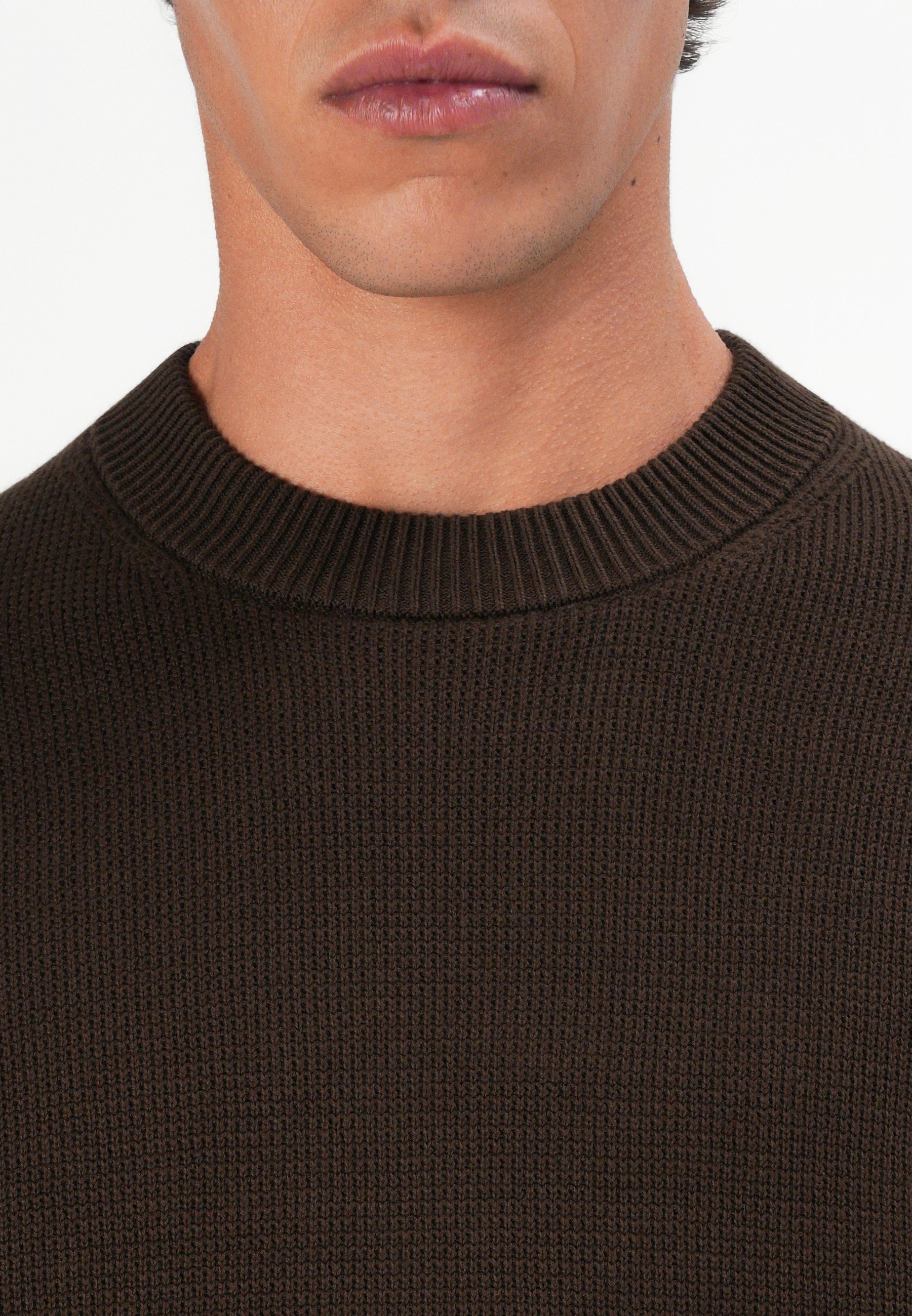 Selected Homme SLHDANE CREW NECK - Jumper - demitasse
