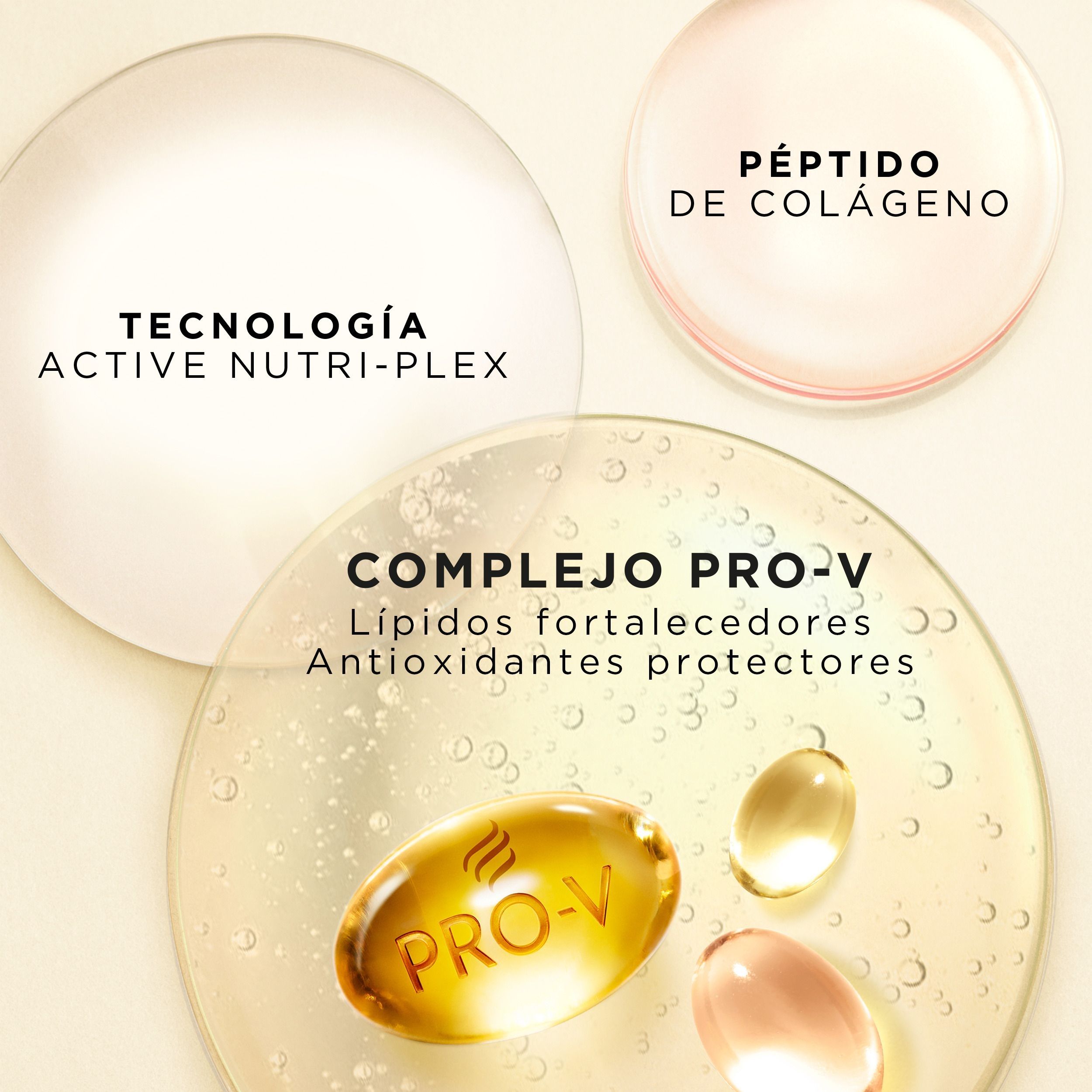 Pro-V Repair and Protect čudežni šampon Šamponi