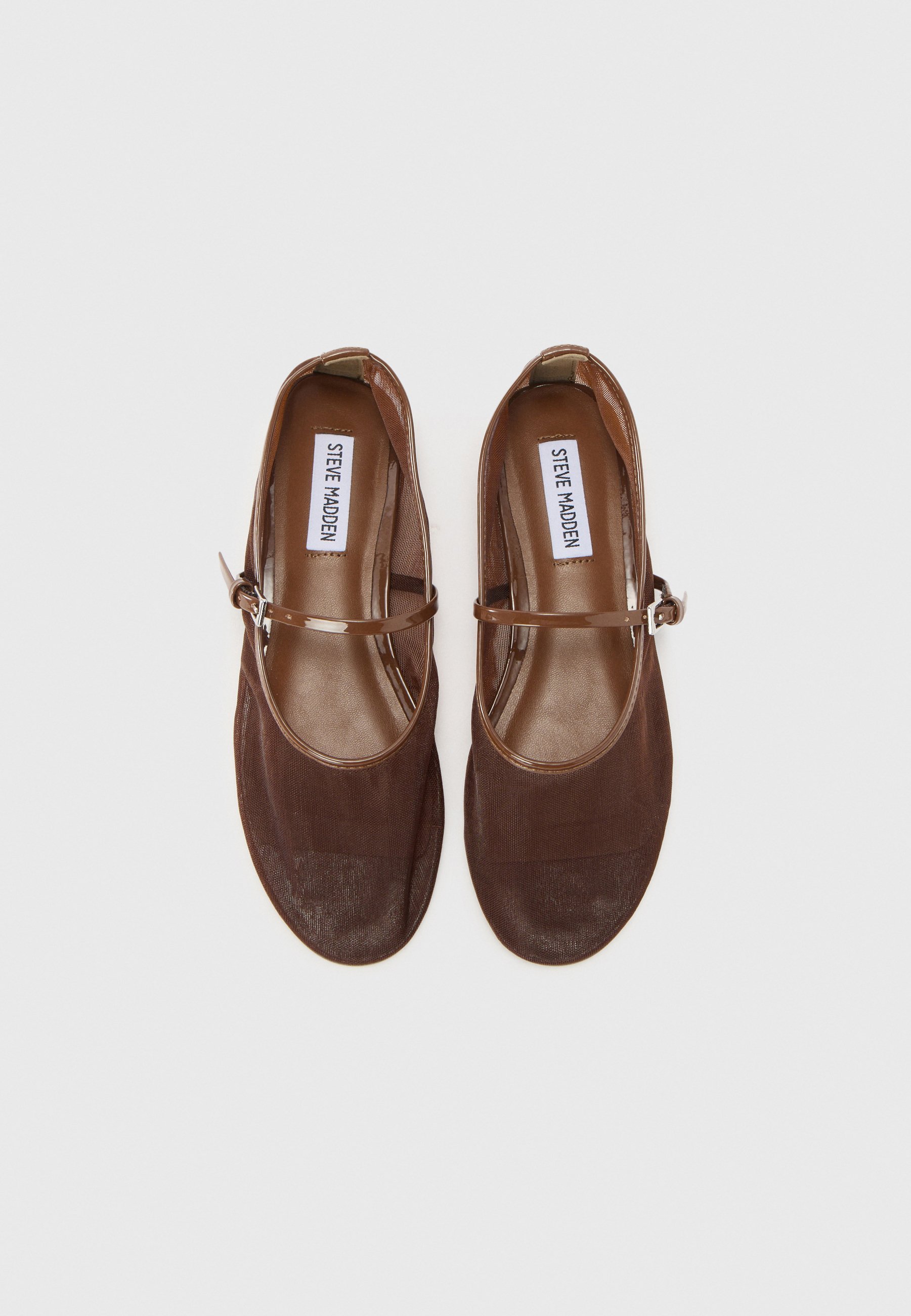 Steve Madden MASH - Balletpumps - bruin