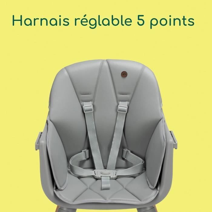 BEBECONFORT AVISTA 2 Omvormbare Kinderstoel, Van 6 maanden tot 6 jaar (30 kg), Getint Grijs