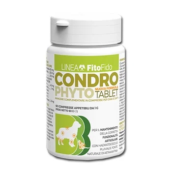 TREBIFARMA Condrophyto 60 comprimés par 1 g