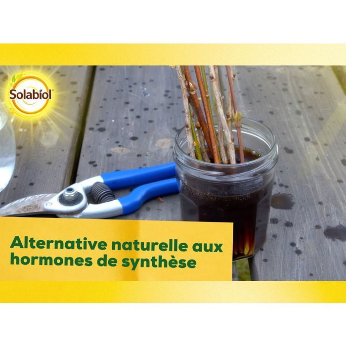 SOLABIOL Osiryl Esquejes - 40 ml - Rinde hasta 20 l de solución - Estimulador de raíces - Apto para su uso en esquejes y plantas trasplantadas