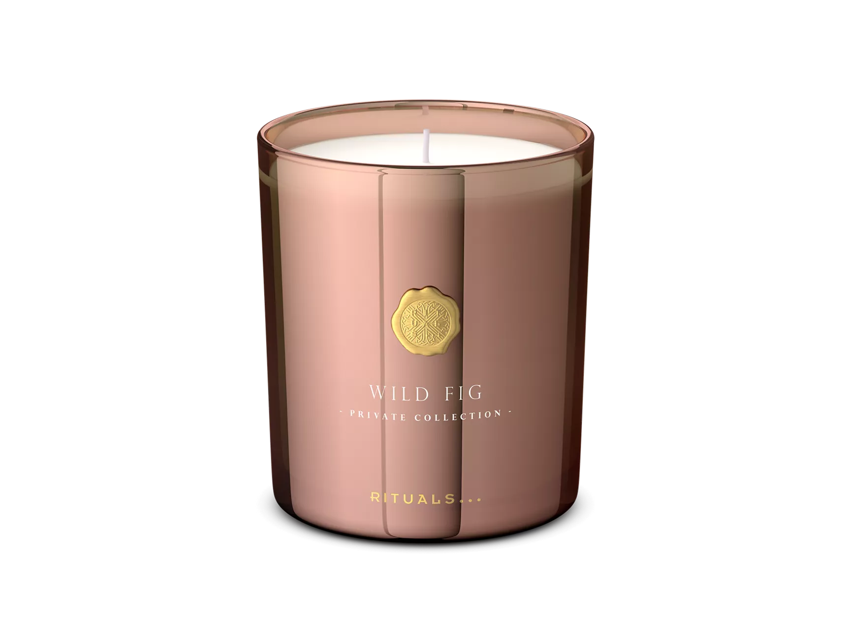 Wild Fig Scented Candle 360g