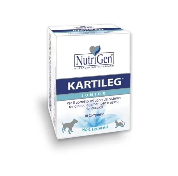 KARTILEG Kartileg J 60 tabletten