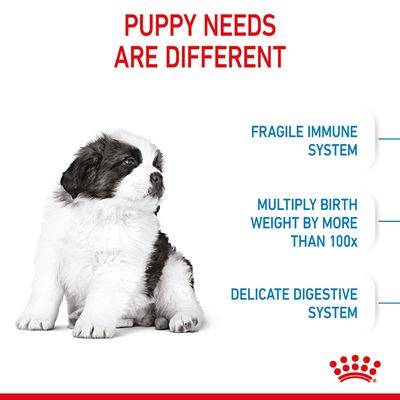Royal Canin Giant Puppy