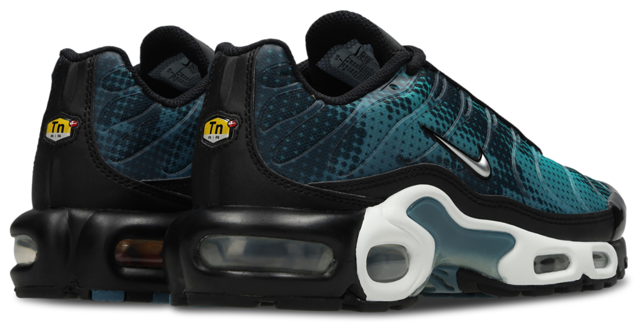 Nike Air Max Plus Fl Tuned