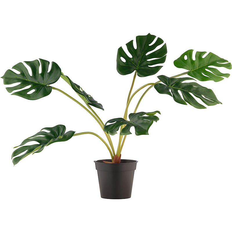 Casa Monstera artificiale da 60 cm