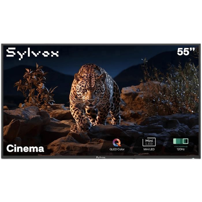 SYLVOX Outdoor Helio QLED Cinema TV - 55