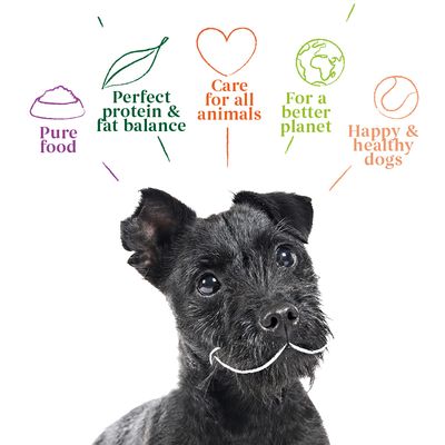 Yarrah Bio-Vegan-Mehrweg-Hundekekse
