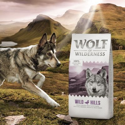 Wolf of Wilderness Adult 