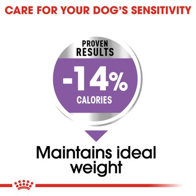 Royal Canin Mini Sterilised