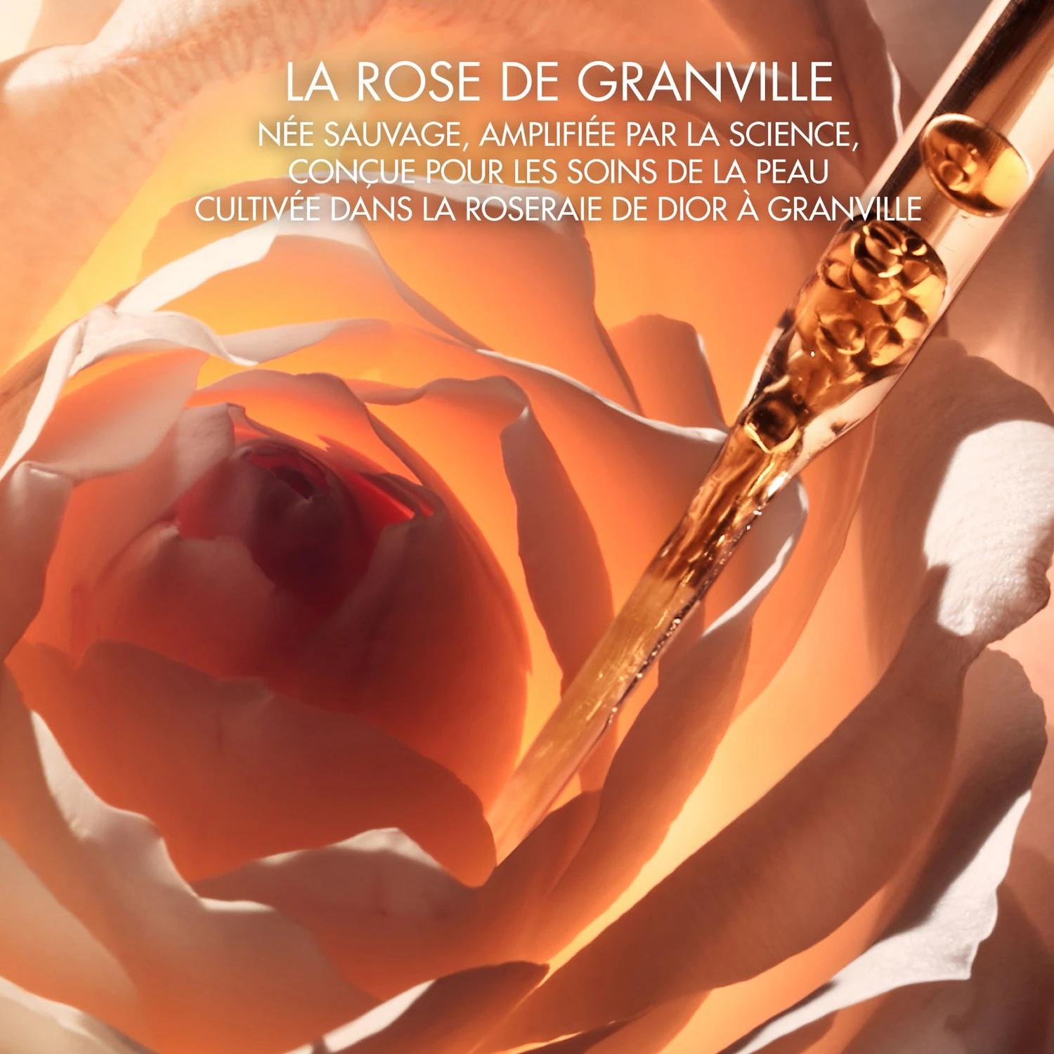 DIOR La Micro-Huile de Rose Activated Serum - Sérum micro-nutritif