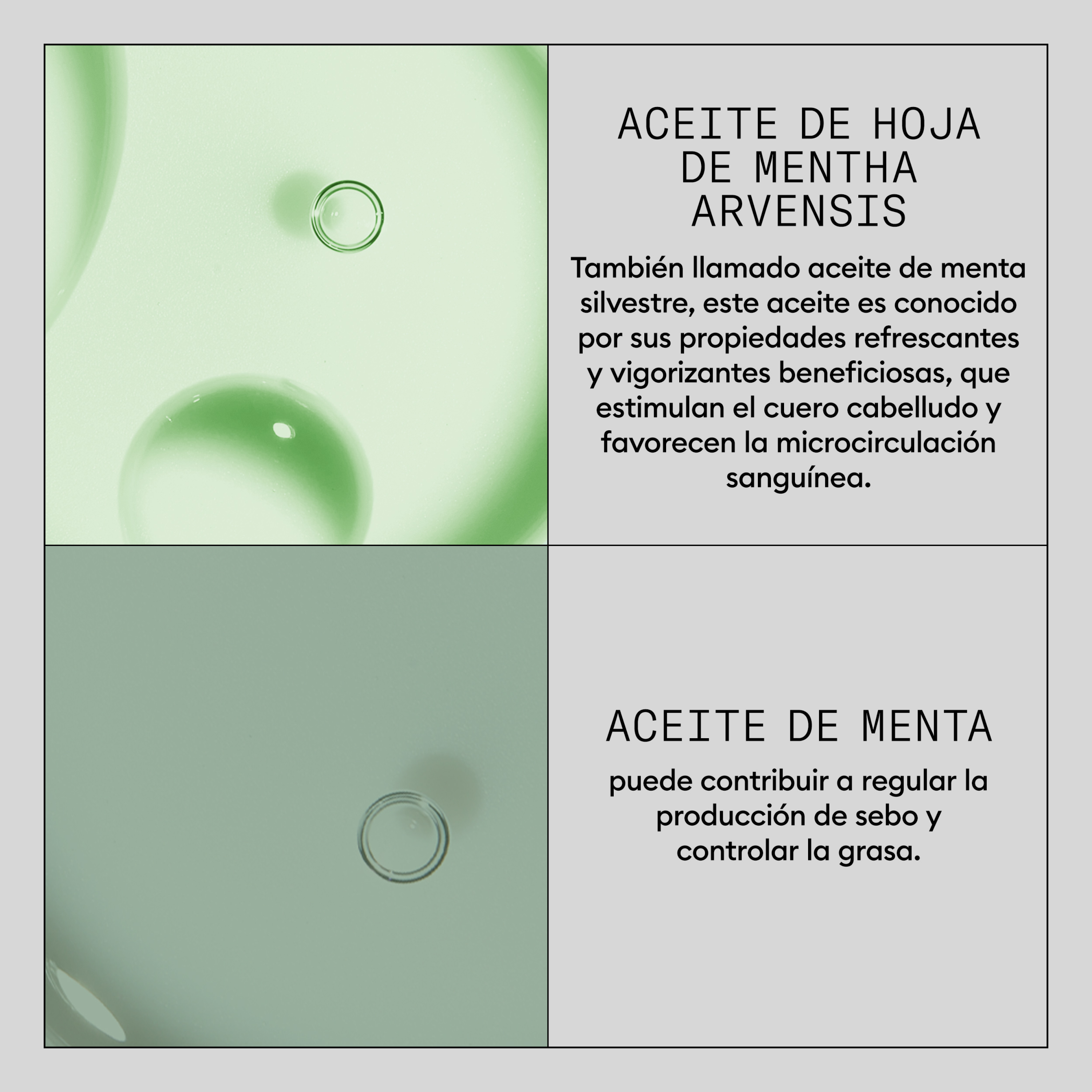 Serum za jačanje kose Hair Booster Tretman za kosu Tretmani/šamponi protiv opadanja kose