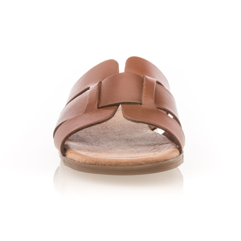 Women's Brown Mules/Clogs