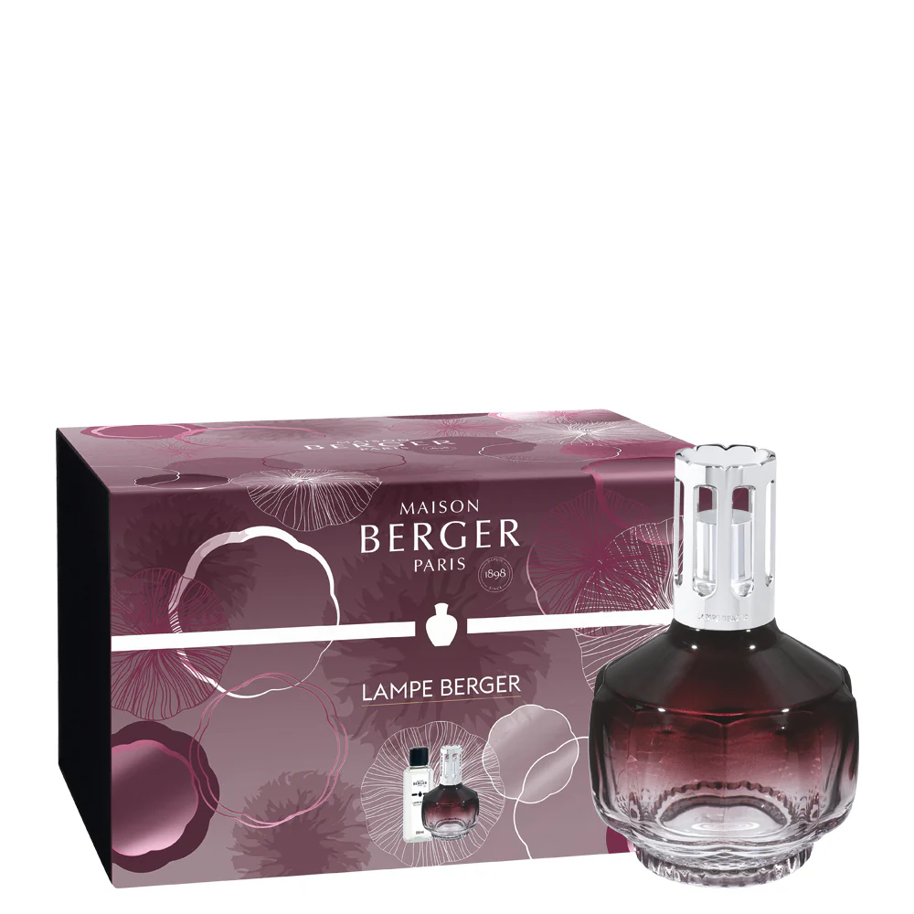 Lampe Coffret Molecule Prune - Cofanetto con Lampada, Lampada Catalitica