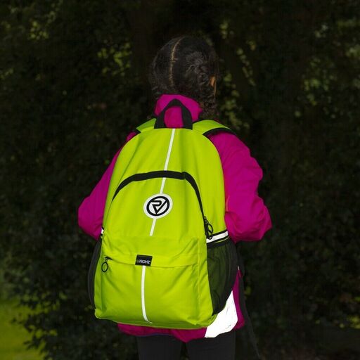 Παιδικό σακίδιο πλάτης Proviz Adventure 25l