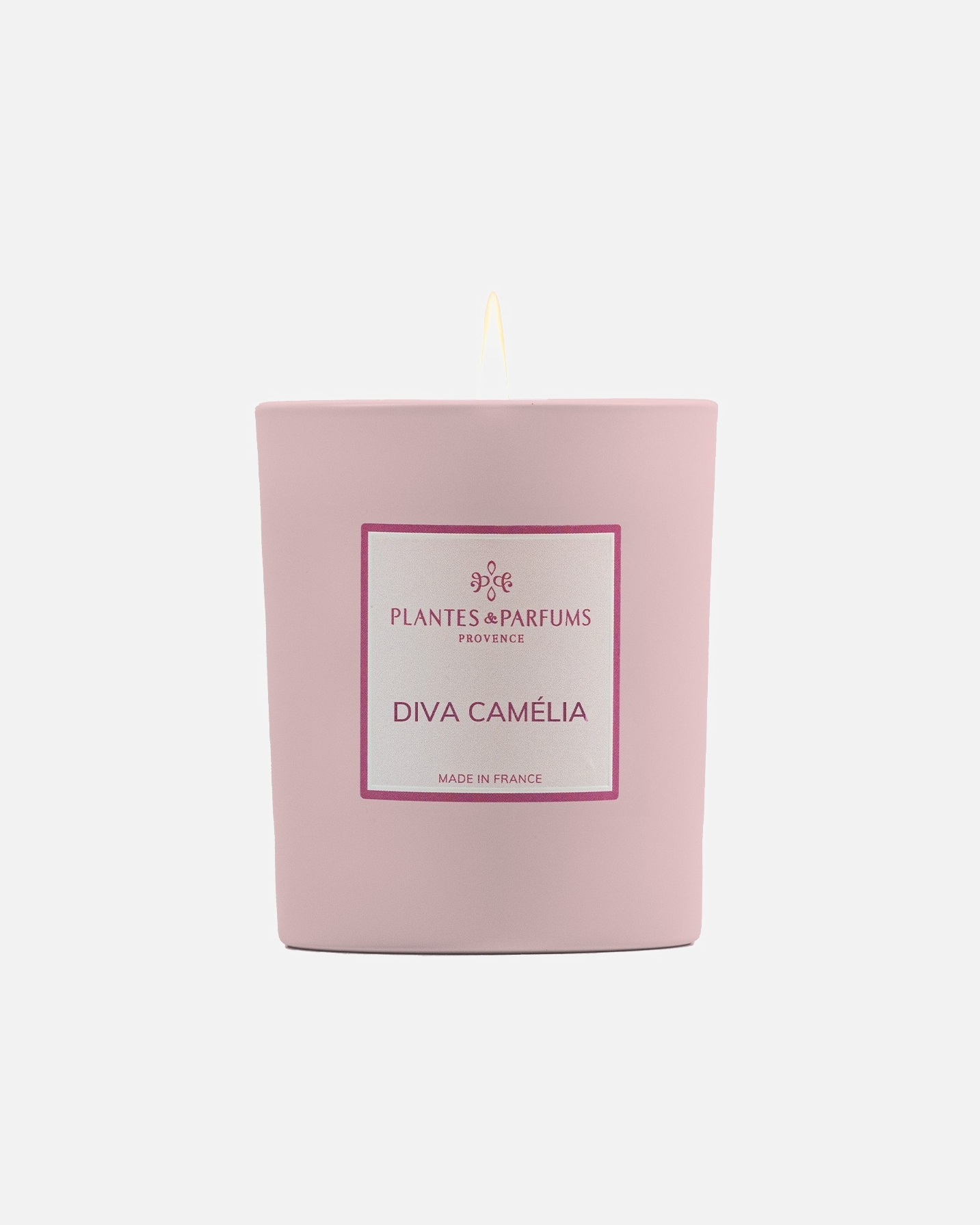 Plantes & Parfums Diva Camélia