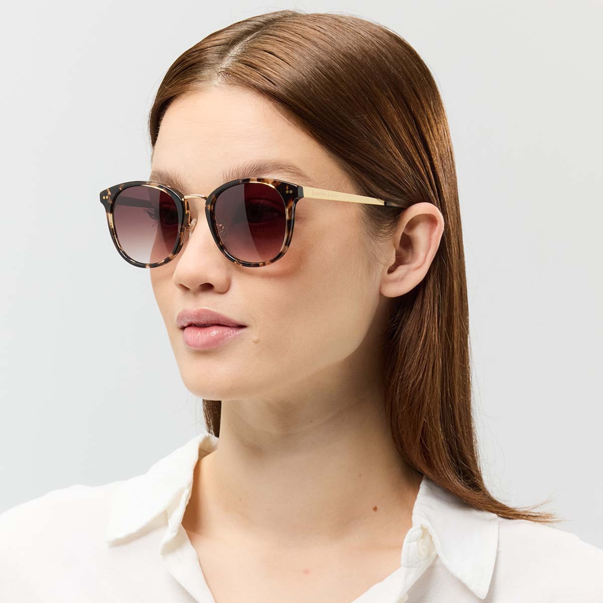 Prague Crystal Tortue Brune