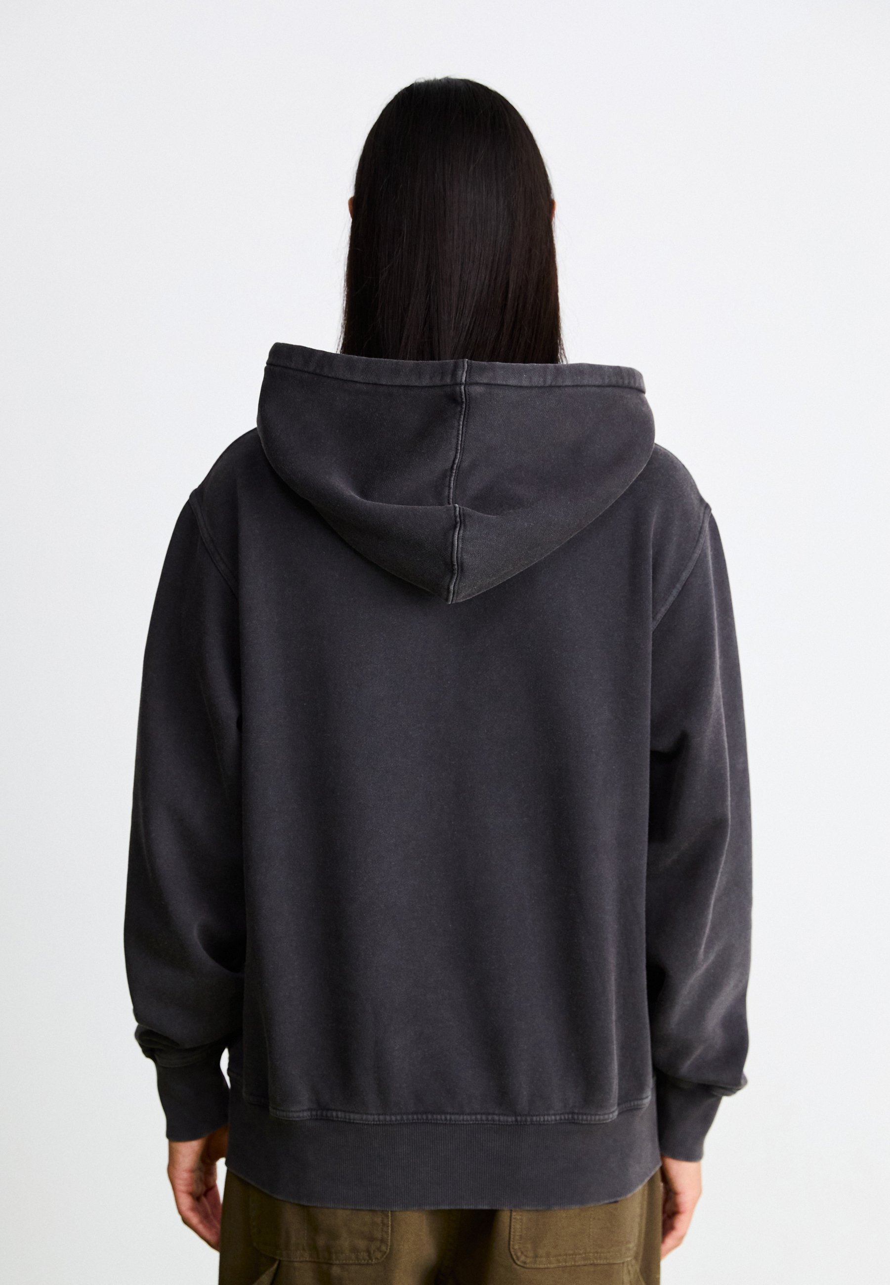 Sweat à capuche Dickies PLENTYWOOD - Noir