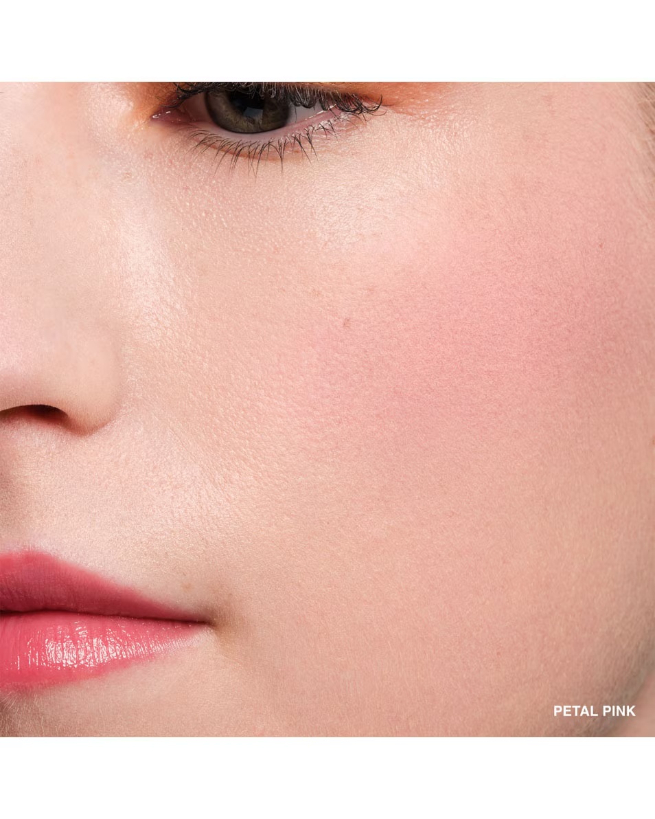 BOBBI BROWN POT ROUGE VELVET MATTE BLUSH