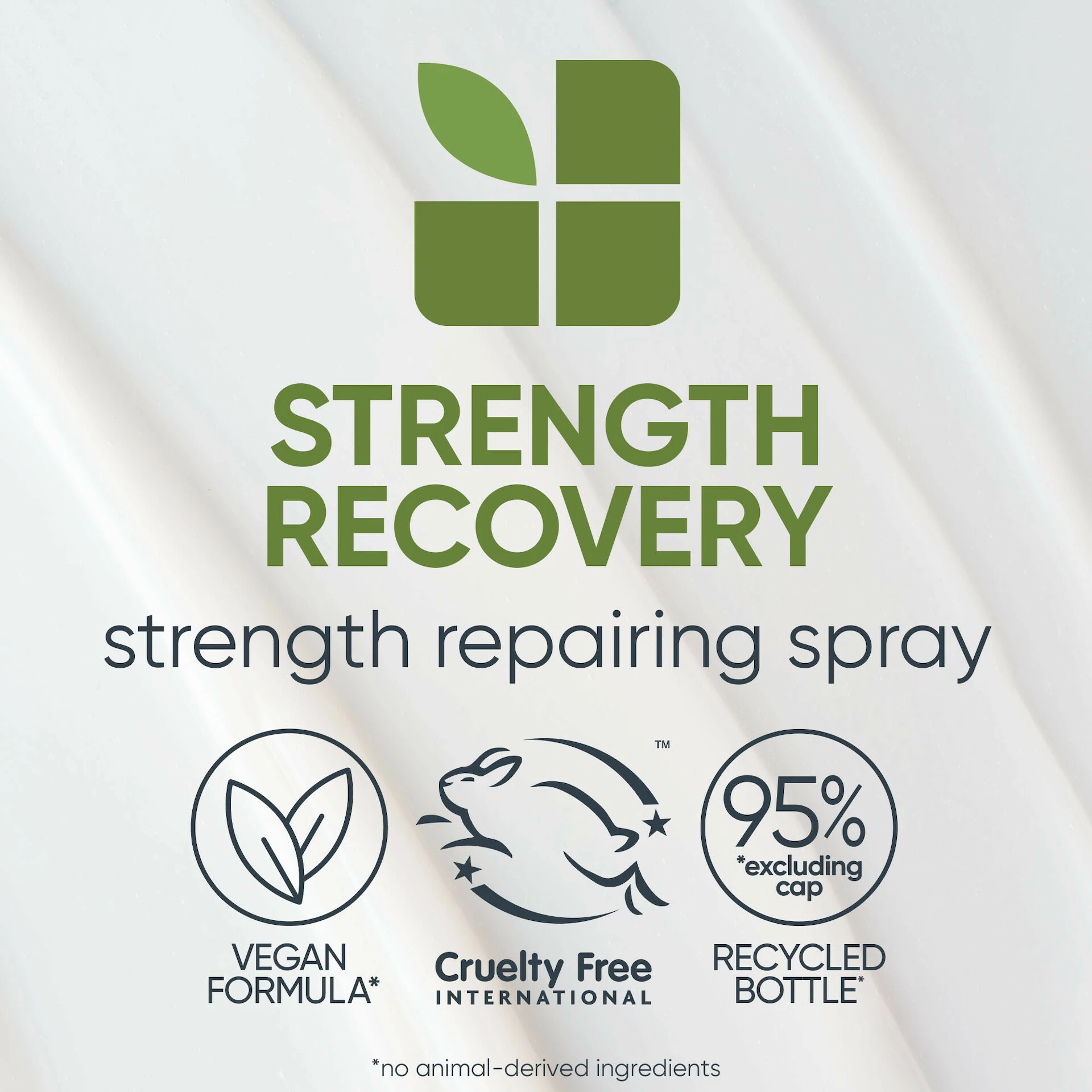 Strength Recovery Spray 232 ml - Biolage