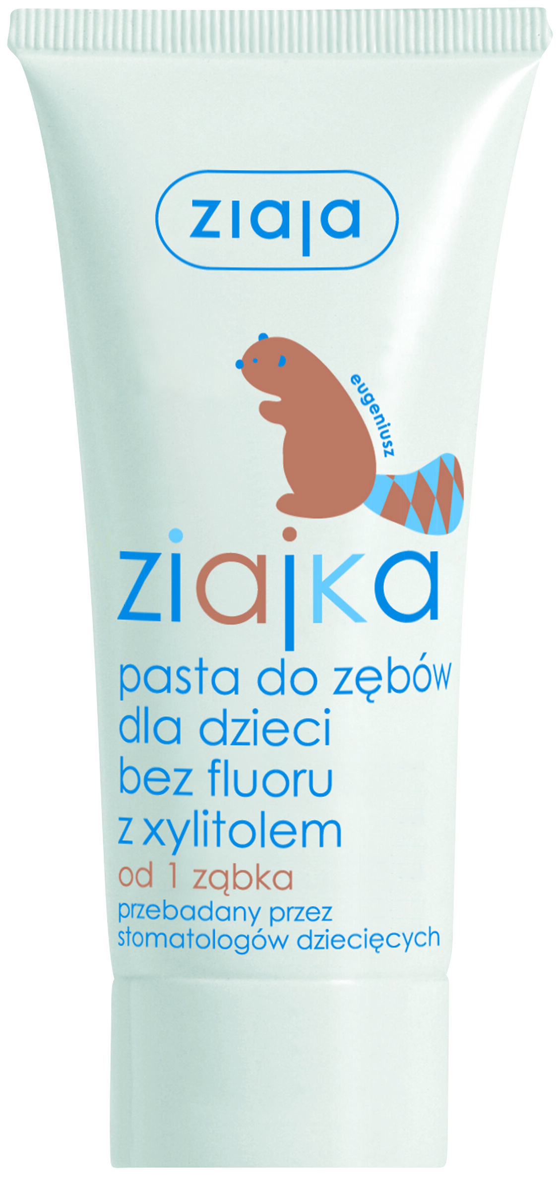 Ζιάγια Ζιάικα