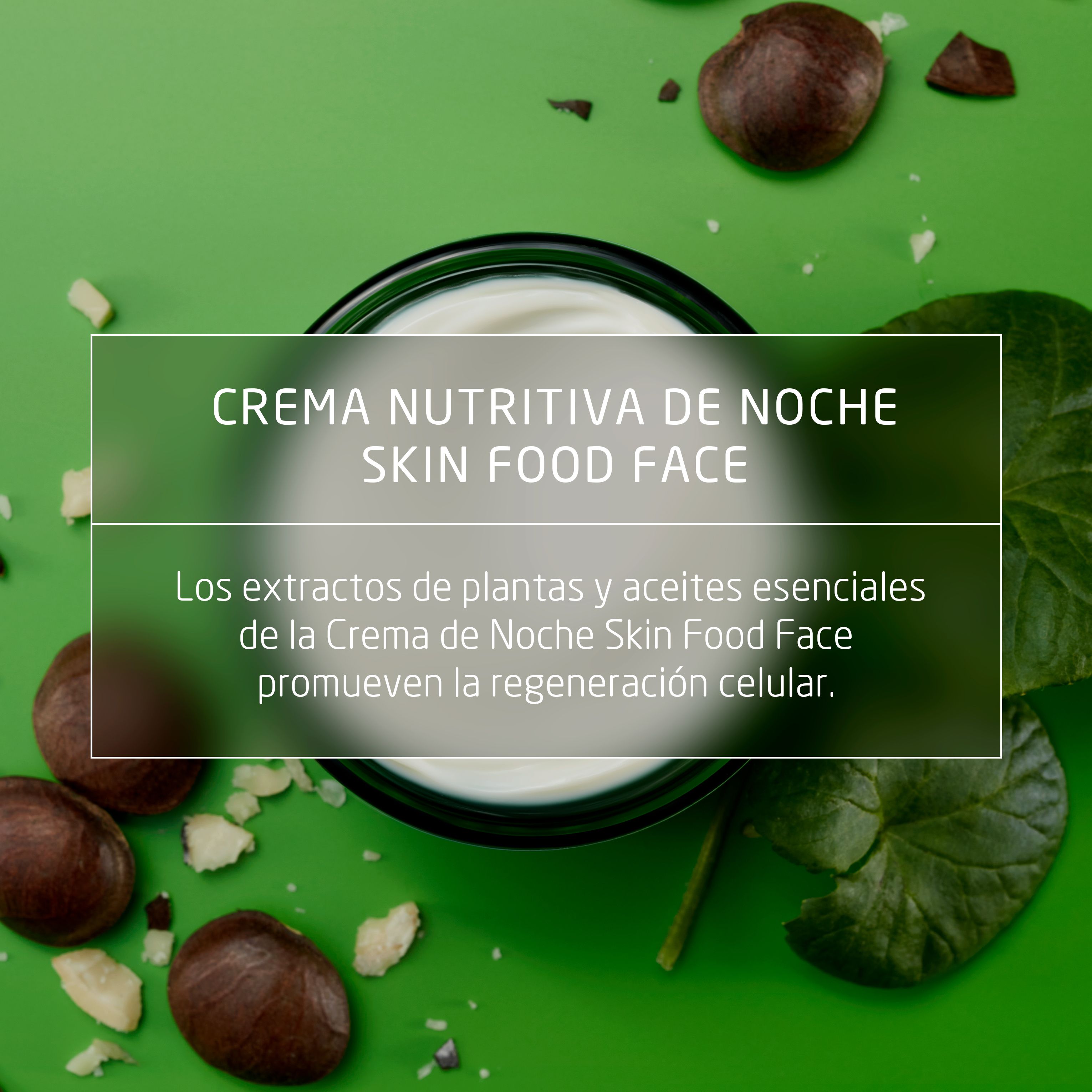 Nočna krema Skin Food Vlažilne kreme za obraz iz lekarne
