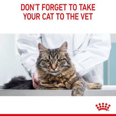 Royal Canin Appetite Control Care