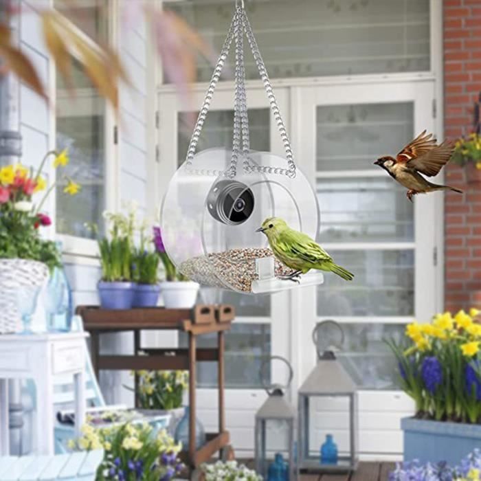 Comedero inteligente para pájaros con cámara - OMABETA - Visión nocturna - Exterior - Aves silvestres