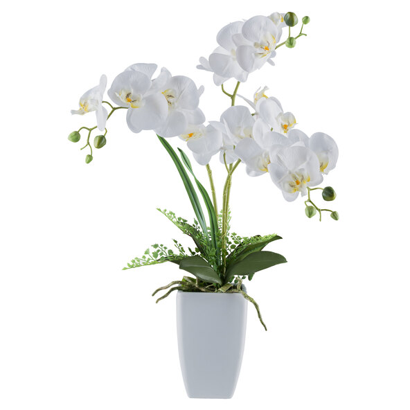 Artificial Phalaenopsis orchid in a ceramic vase, 67 cm