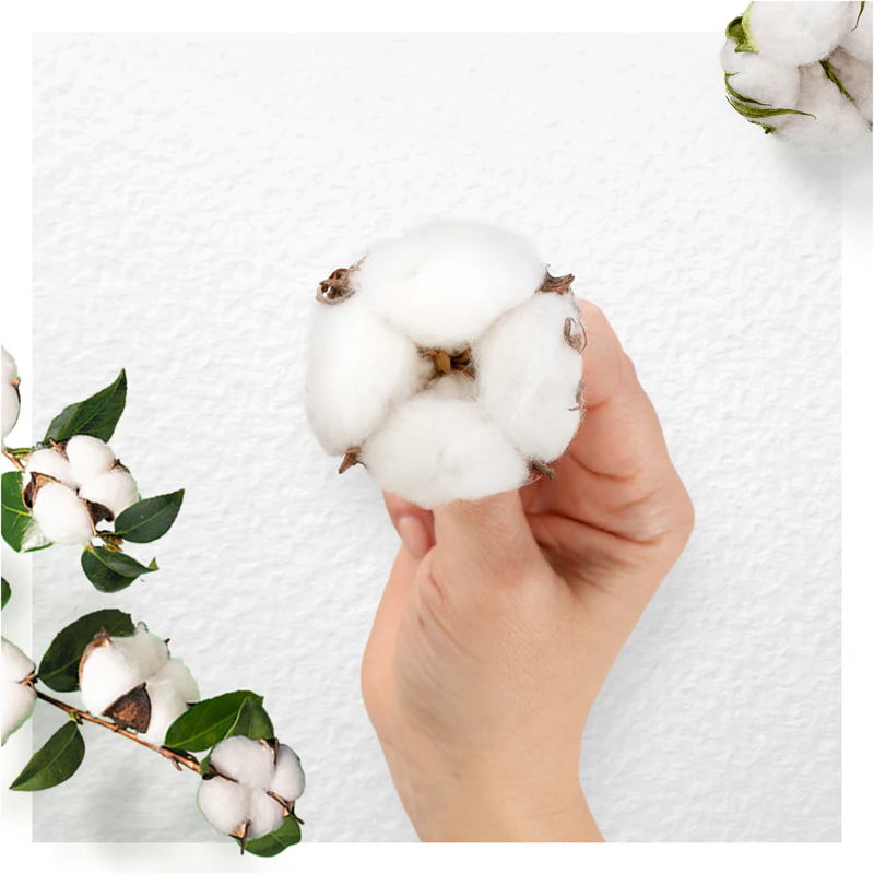Always Cotton Protection Long geurloze maandverbanden