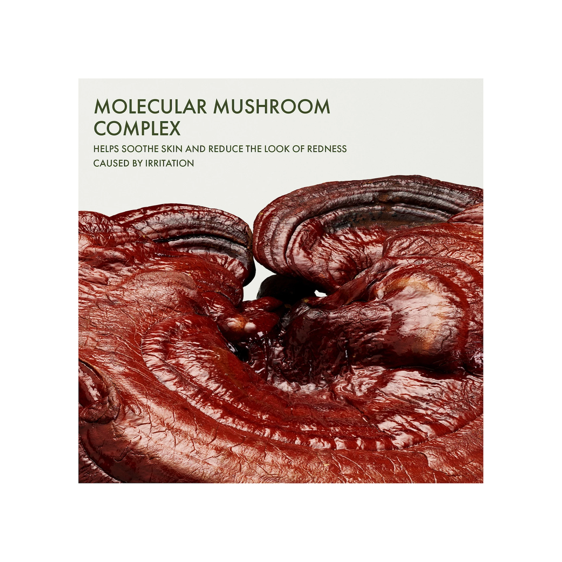 Dr. Weil Mega-Mushroom obnovitveni koncentrat za kožo 30 ml - Origins