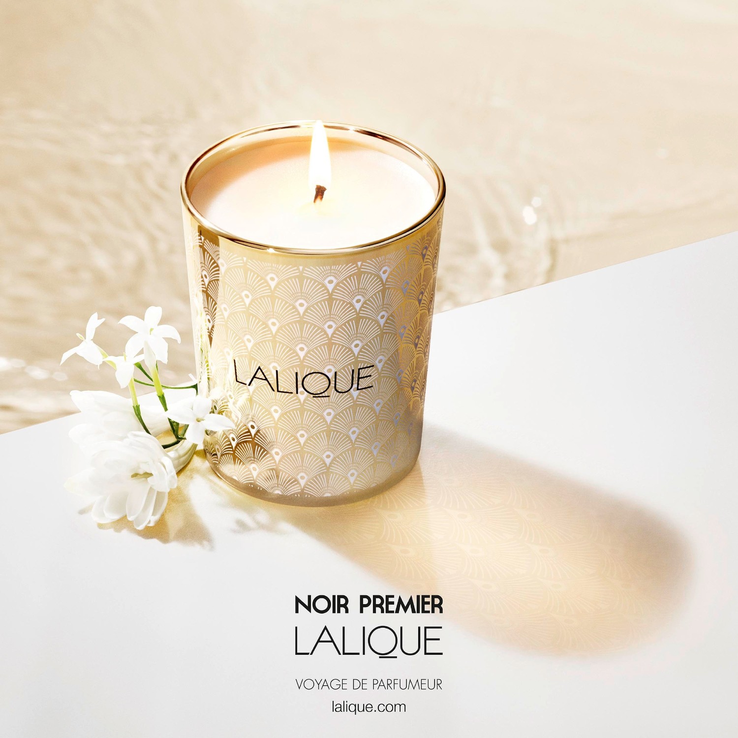 Lalique Bougie Noir Premier Plume Blanche