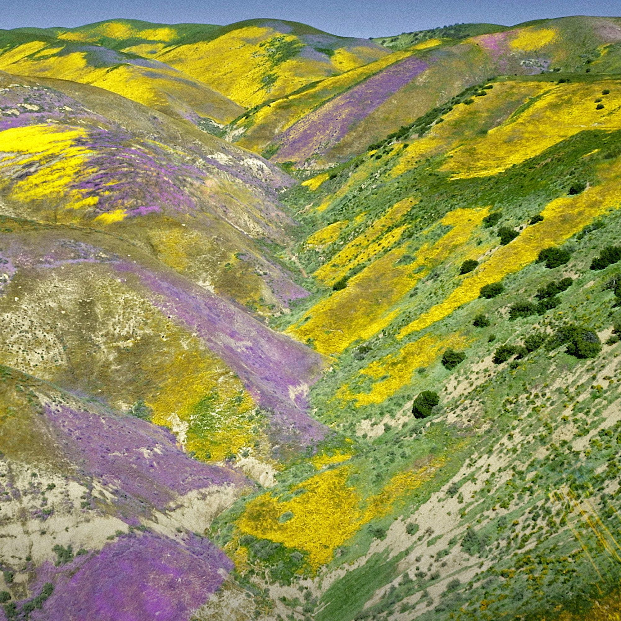 Aqua Allegoria Forte Florabloom parfimērijas ūdens sieviešu smaržas