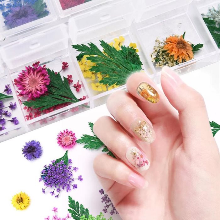 Nieuwe stickers met 12 kleuren echte gedroogde bloemen, natuurlijke bloemenmotieven, 3D-nageldecoraties, doe-het-zelf tips voor manicures, gipskruid nagelstickers.