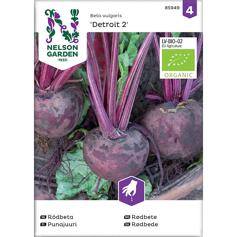 Nelson garden Frø Rødbede Detroit 2, økologiske