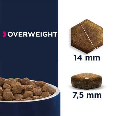 Eukanuba Daily Care Übergewichtiger erwachsener Hunde
