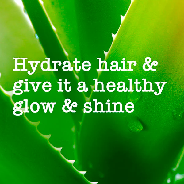 Maui Moisture Nourish & Moisture+ kondicionér s kokosovým mlékem