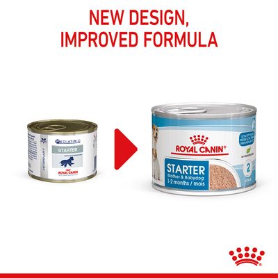 Royal Canin Starter Mousse Mor & Babydog