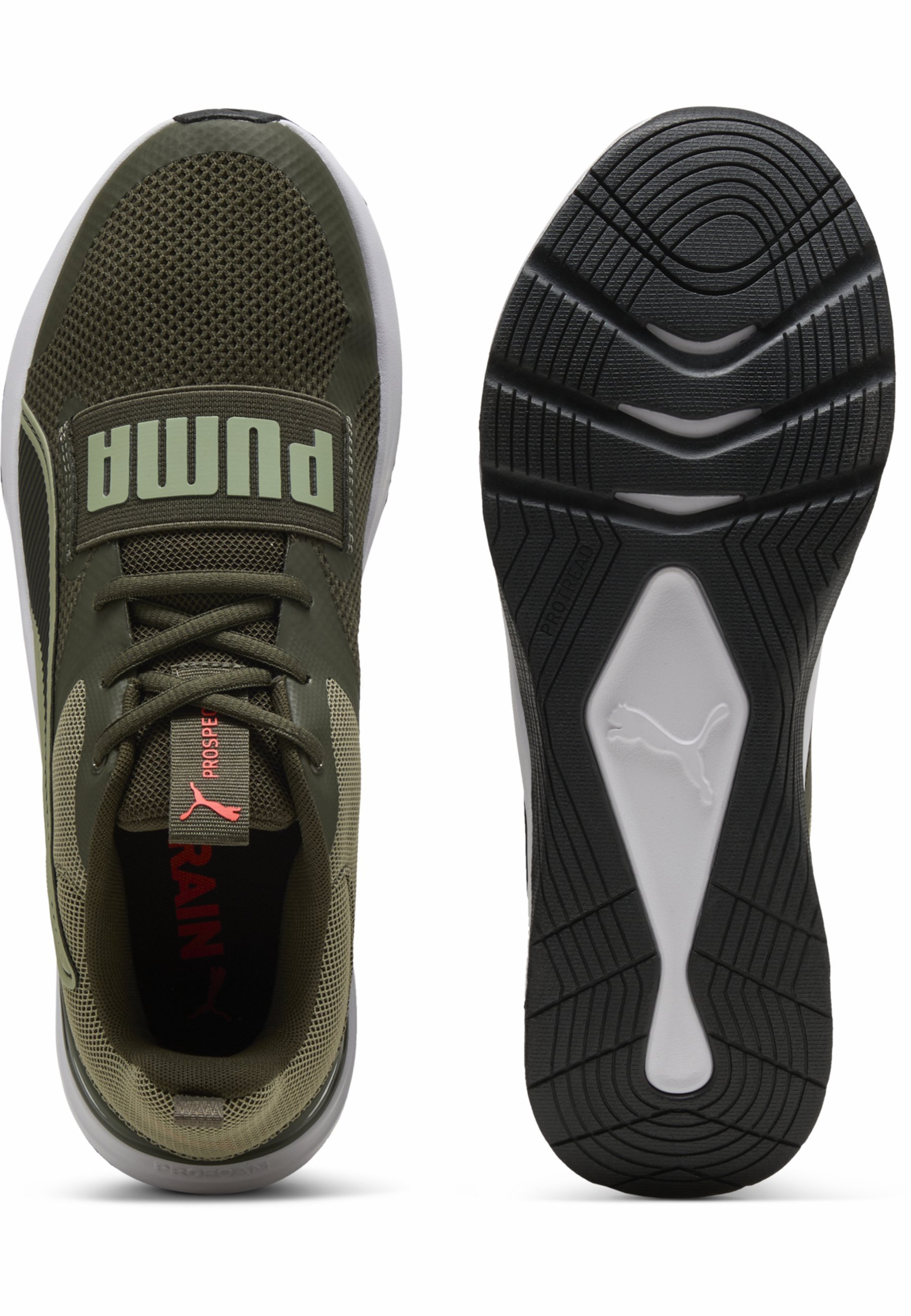 Puma PROSPECT UNISEX - Trainingsschoen - donker olijfgroen lux legerwit