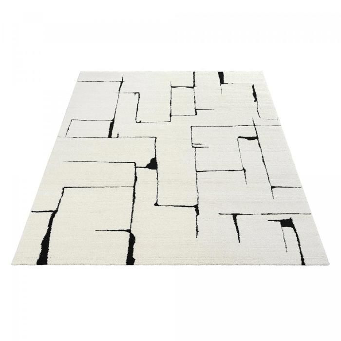 LYN9 BRINKI Living Room Rug 160x230 cm Black - Soft and Silky Living Room Rug