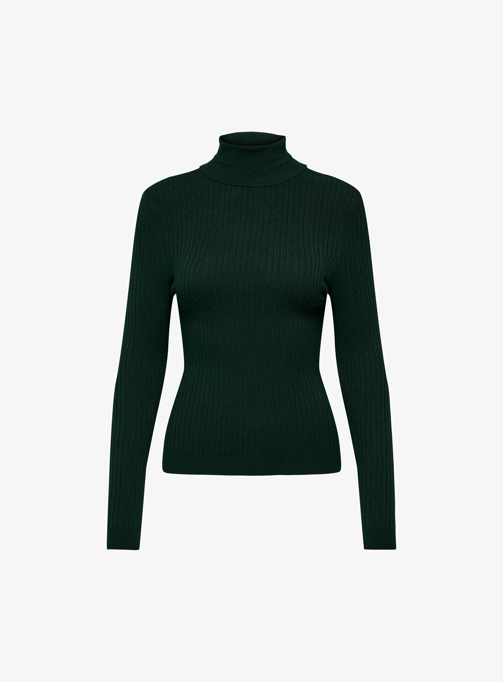 ONLY ONLKAROL ROLL NECK - Jumper - scarab